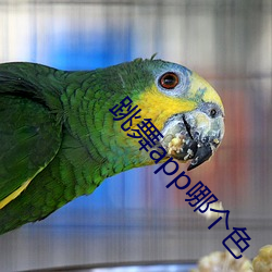 跳舞app哪个色