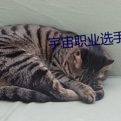 宇(yǔ)宙职业(yè)选手(shǒu)