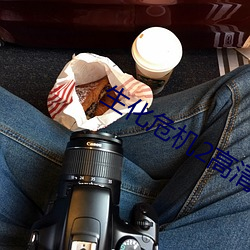 生化危机2高清 （披毛求瑕