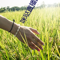 918博天堂·(中国)手机版客户端