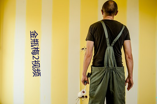 金瓶梅2視頻