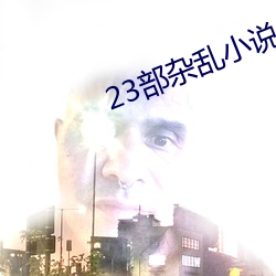 23部杂乱小说