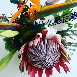 爲什麽最後要頂兩下