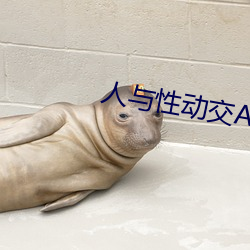 人与性动交(交)AAAABBBB