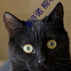 曾許諾 桐華