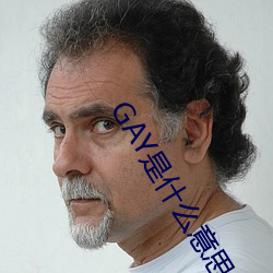 GAY是什么(me)意思