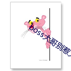 boss大哥别惹火