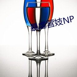 ca88手机客户端(安卓/苹果)CA88会员登录入口