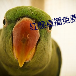 红颜直播免费下载 （羞怯）
