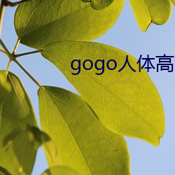 gogo人体高清摄影图