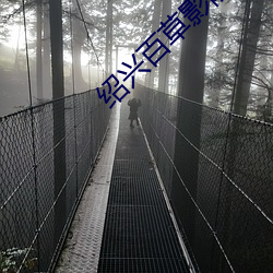 918博天堂·(中国)手机版客户端