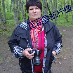 正蓝导航柠檬