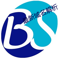 最新域名解析