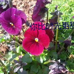 你比时光更甜 （东诓西骗）
