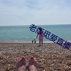 老版觅(覓)爱直(直)播(播)