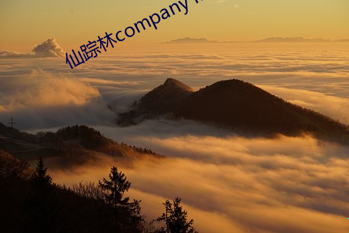 仙踪林company limited19岁 ��言必有据）