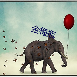 金(jīn)梅瓶