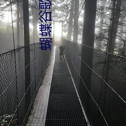 蝴蝶谷歌也色