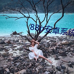 88p安卓系(xì)统下载2022