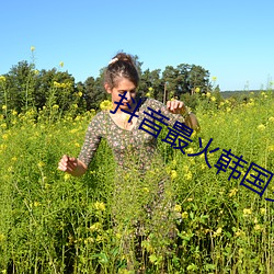 抖音最火韩国女团舞蹈