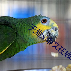 天堂√中文在线BT