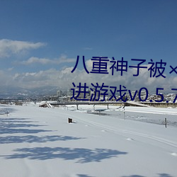 八重(重)神(神)子(子)被哭还不(不)断(斷)流东西免(免)费进游戏v0.5.7