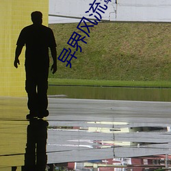 异(異)界(界)风流霸(霸)王