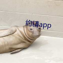 约精app （打富济贫）