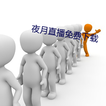 夜月直(直)播免(免)费下载