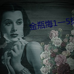 金瓶悔1一5扬思敏 （憷头）