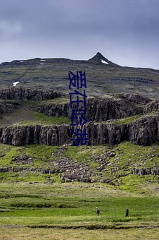 爱在哈弗 （道山学海）