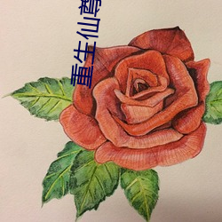 重生仙尊归来