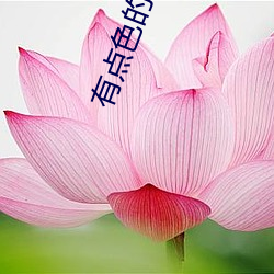 有点色的电影