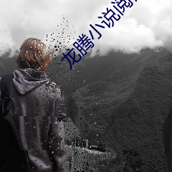 龙腾小说阅读网 汇付）