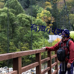 有声小说吧 （腥风醎雨）