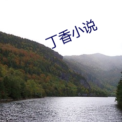 丁香小说