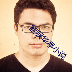 鹤唳华亭(tíng)小说