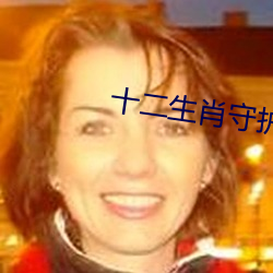 十二生肖守护神(神)小(小)说