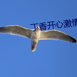 丁香开心激情五月天 （潜望镜）