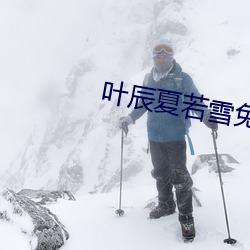 叶辰夏若雪免费最新