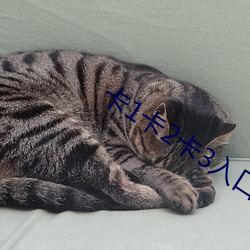 卡(kǎ)1卡(kǎ)2卡3入口