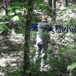 第一人称小说