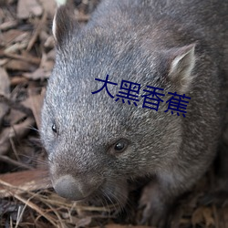 918博天堂·(中国)手机版客户端