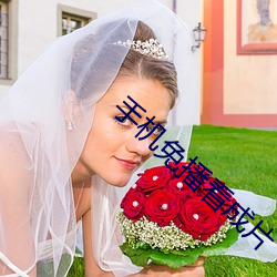 手机免播看成片