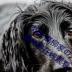 肉嫁 高柳(柳)家の人(人)々 其の壱 性(性)狱の屋敷!全(全)集免费(費)在线观(觀)看(看)