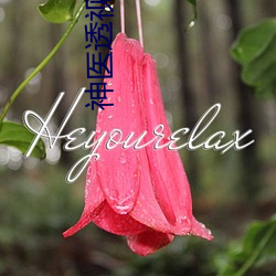 神医透视 （政由己出）