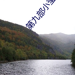 第九部小瑩的縱容情txt