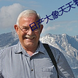 日产大象天天看 击败）