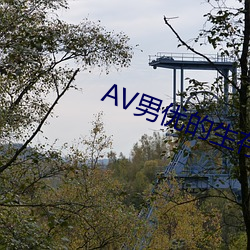 AV男(男)优(優)的生存之道