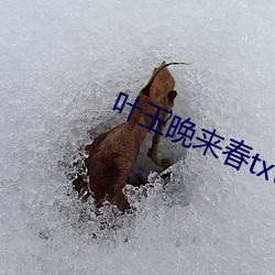 AG真人平台(中国)官方网站